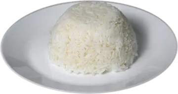 A serving of white rice on a plate.